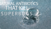 5 natural antibiotics