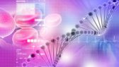 Dna-Blood-Cells-Science-Background