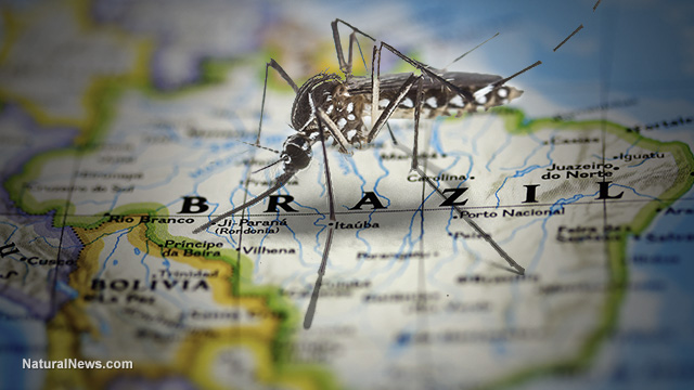 Image: The Zika Conspiracy – It’s Much Worse Than You Think (Video)
