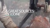 5 sources iodine