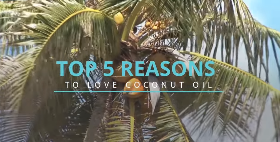 Image: Top 5 Reasons To Love Coconut Oil (Video)