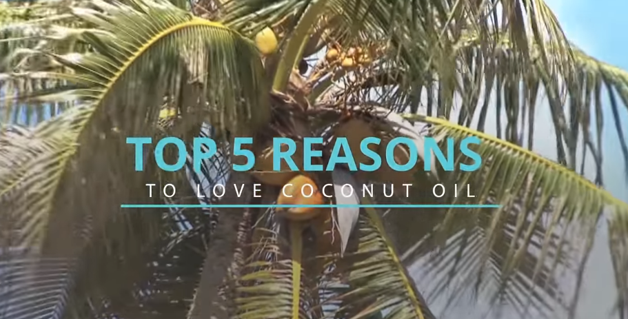 Image: Top 5 Reasons to Love Coconut Oil (Video)