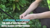 4 Herbal Remedies ADD ADHD symptoms