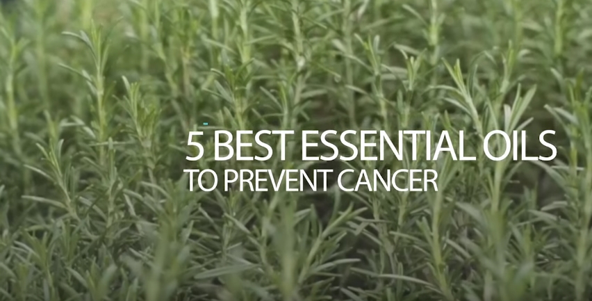 Image: 5 Best Essential Oils to Prevent Cancer (Video)