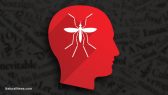 Zika-Mosquito-Human-Mind