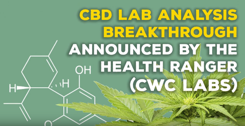 Image: CBD Lab Analysis Breakthrough Announced by the Health Ranger (Video)