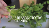 5 reasons to try cilantro