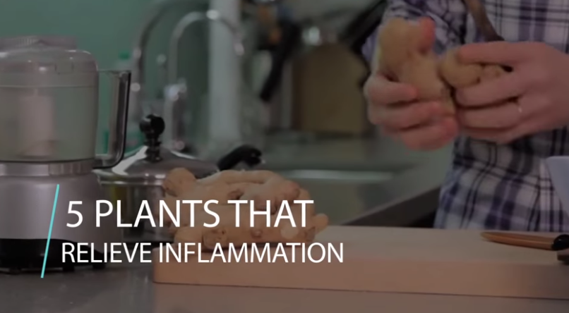 Image: 5 Plants That Relieve Inflammation (Video)