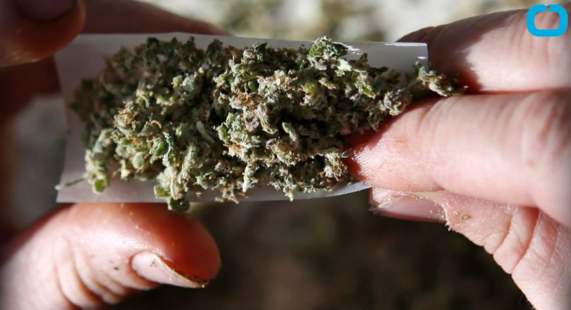 Image: 5 States Approve Marijuana Bills (Video)