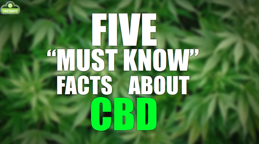 Image: 5 Must Know Facts About CBD (Video)