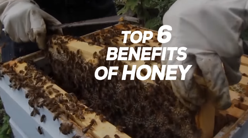 Image: Top 6 Benefits of Honey (Video)