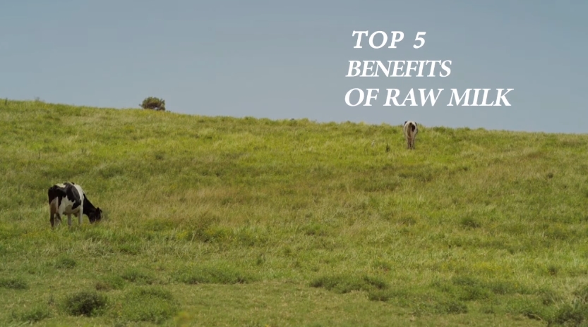 Image: Top 5 Benefits Of Raw Milk