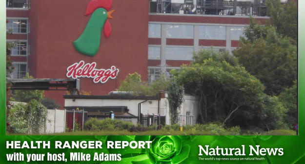 Image: Boycott of Kellogg’s, Maker of GMO Cereals, Expands to Breitbart.com (Video)