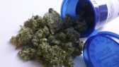 Prescription-Legal-Weed-Pot-Marijuana