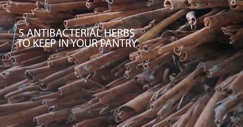 Image: 5 Antibacterial Herbs To Keep In Your Pantry (Video)