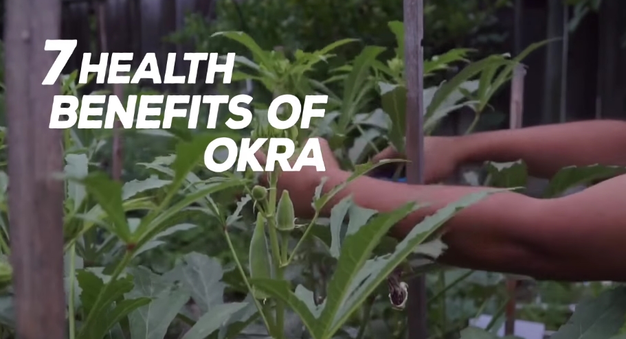 Image: 7 Health Benefits of Okra (Video)