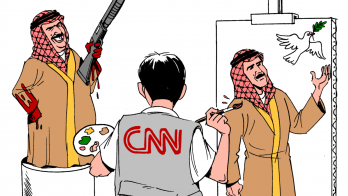 CNN