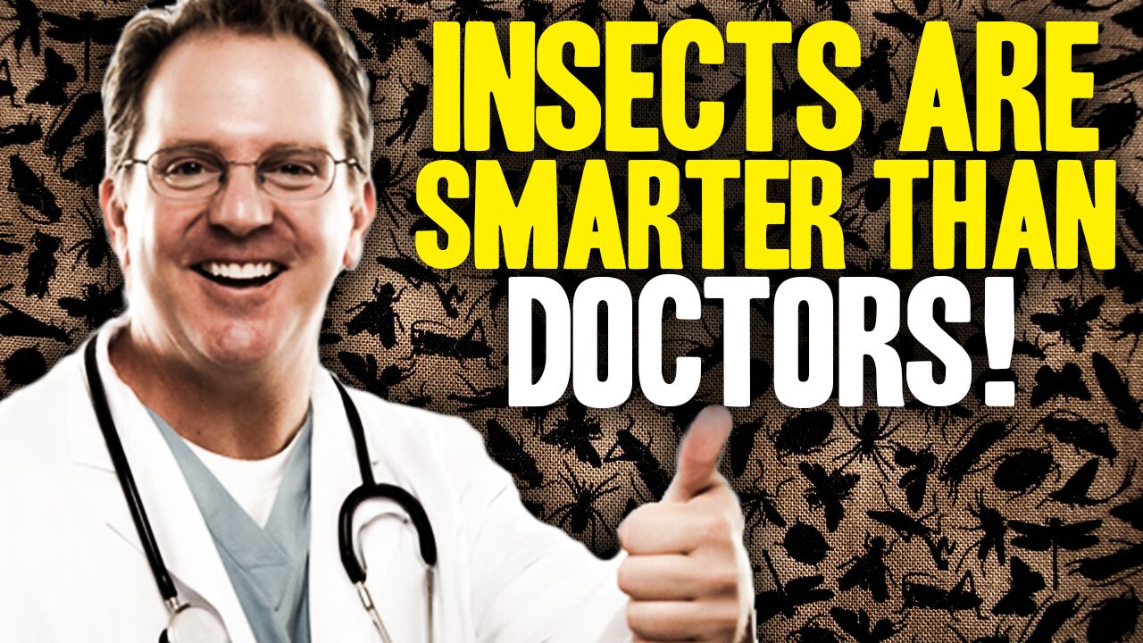 Image: Insects Are Smarter Than Doctors – and Other Medicine News (Video)