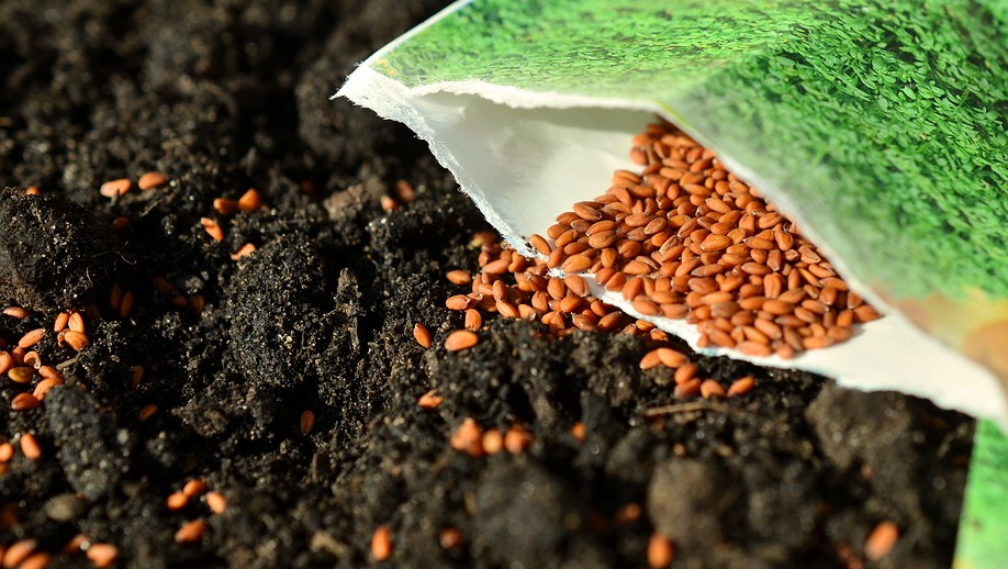 Image: If this happens, Germany will control our food supply (Video)
