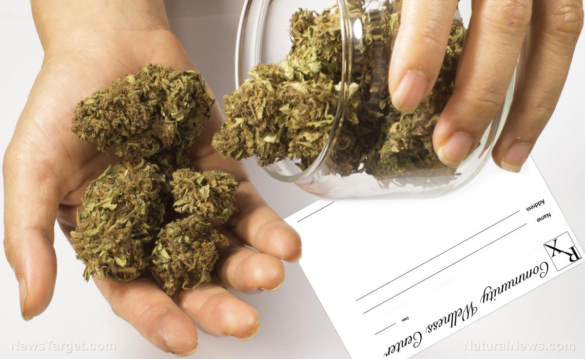 Image: 10 Things You Didn’t Know About Marijuana (Video)