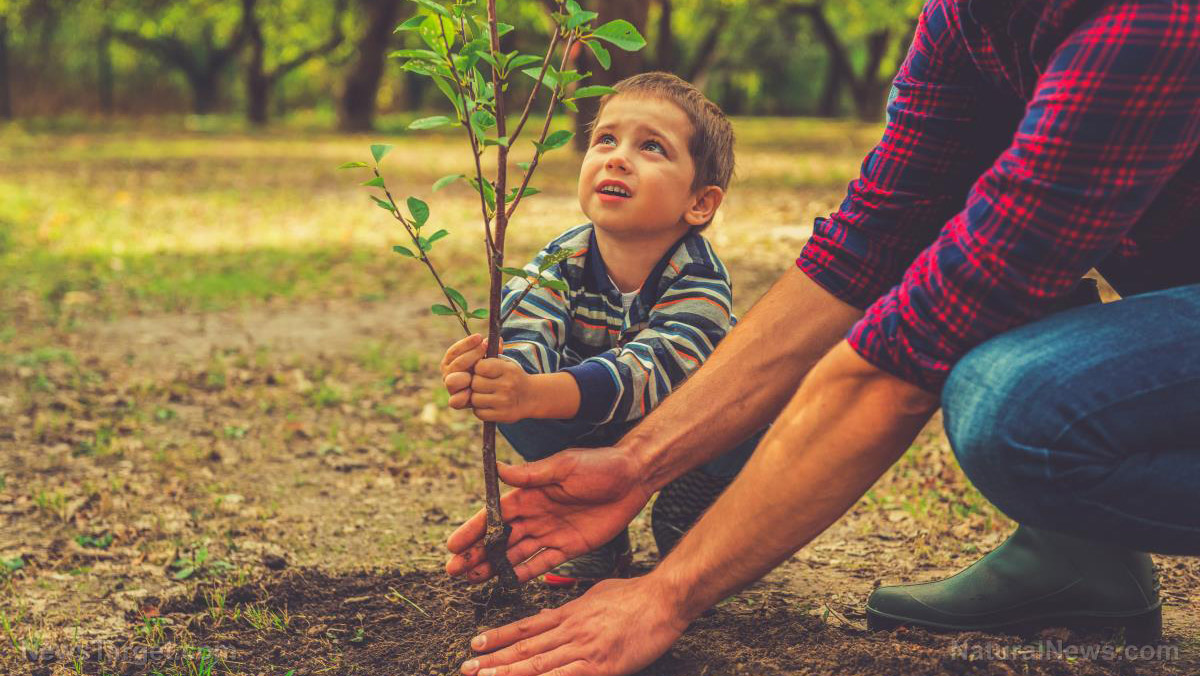 Image: Liberals Want Father’s Day Abolished Claiming It’s “Too Antiquated” for Modern Society (Video)