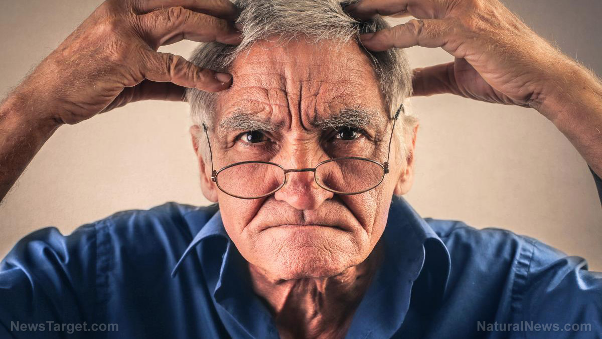 Image: Can We Grow New Brain Cells as Adults? (Video)