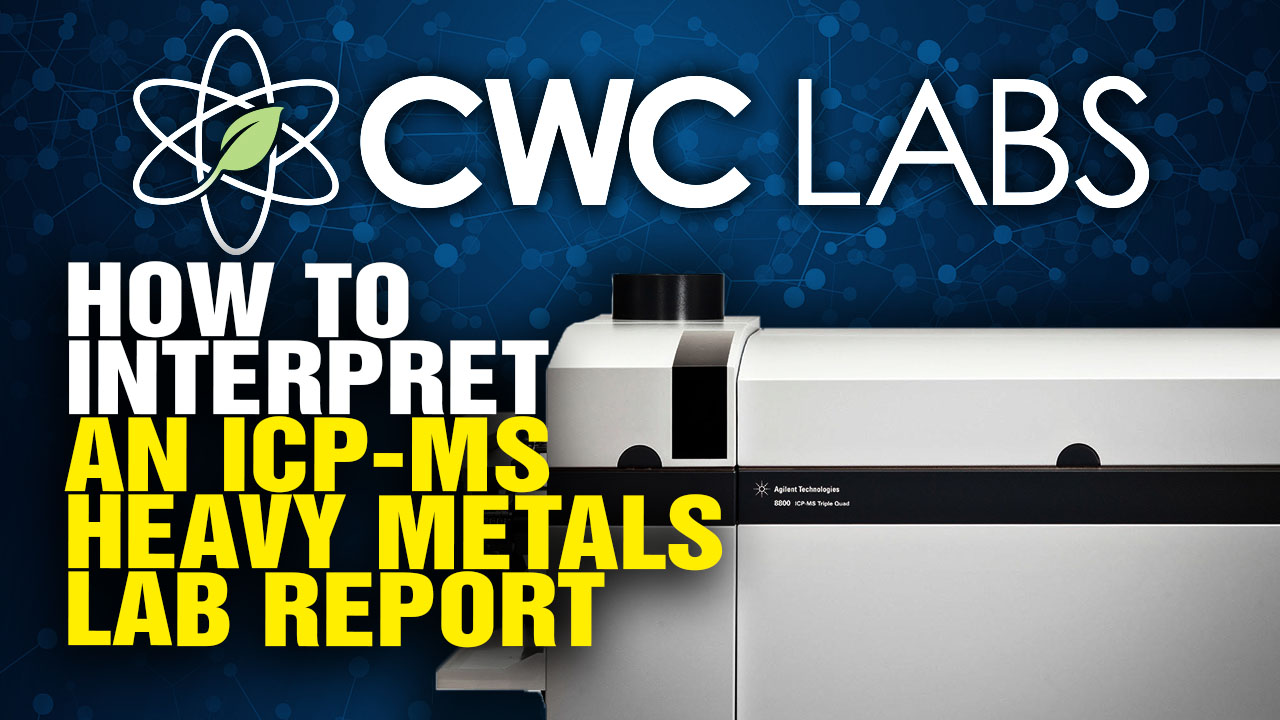 Image: How to Interpret an ICP-MS Heavy Metals Lab Report (Video)