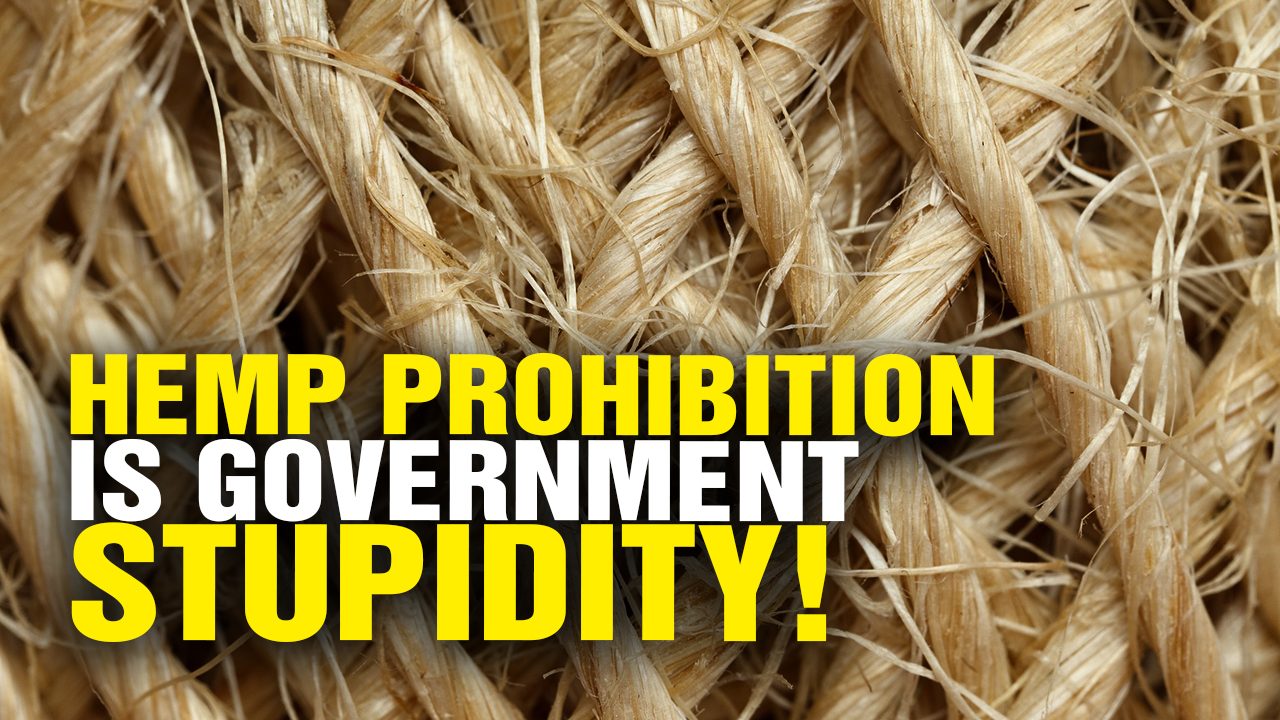 Image: Prohibition of HEMP Is Government STUPIDITY (Video)