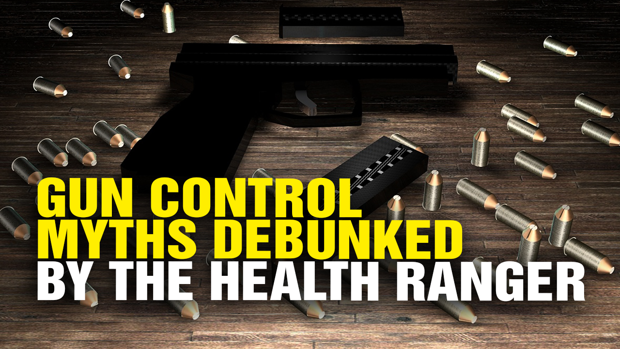 Image: Gun Control Myths Debunked by the Health Ranger (Video)