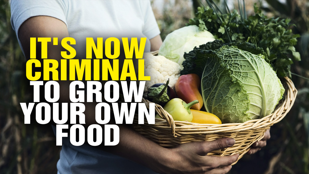Image: It’s Now CRIMINAL to Grow Food in Your Own Yard! (Video)