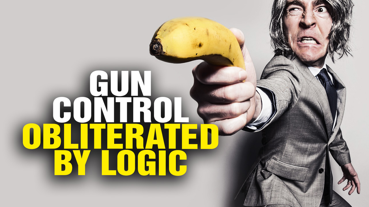 Image: GUN CONTROL Arguments Obliterated by LOGIC (Video)