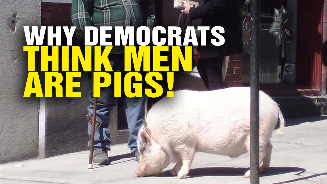 Image: Why Democrats Think MEN Are PIGS (Video)