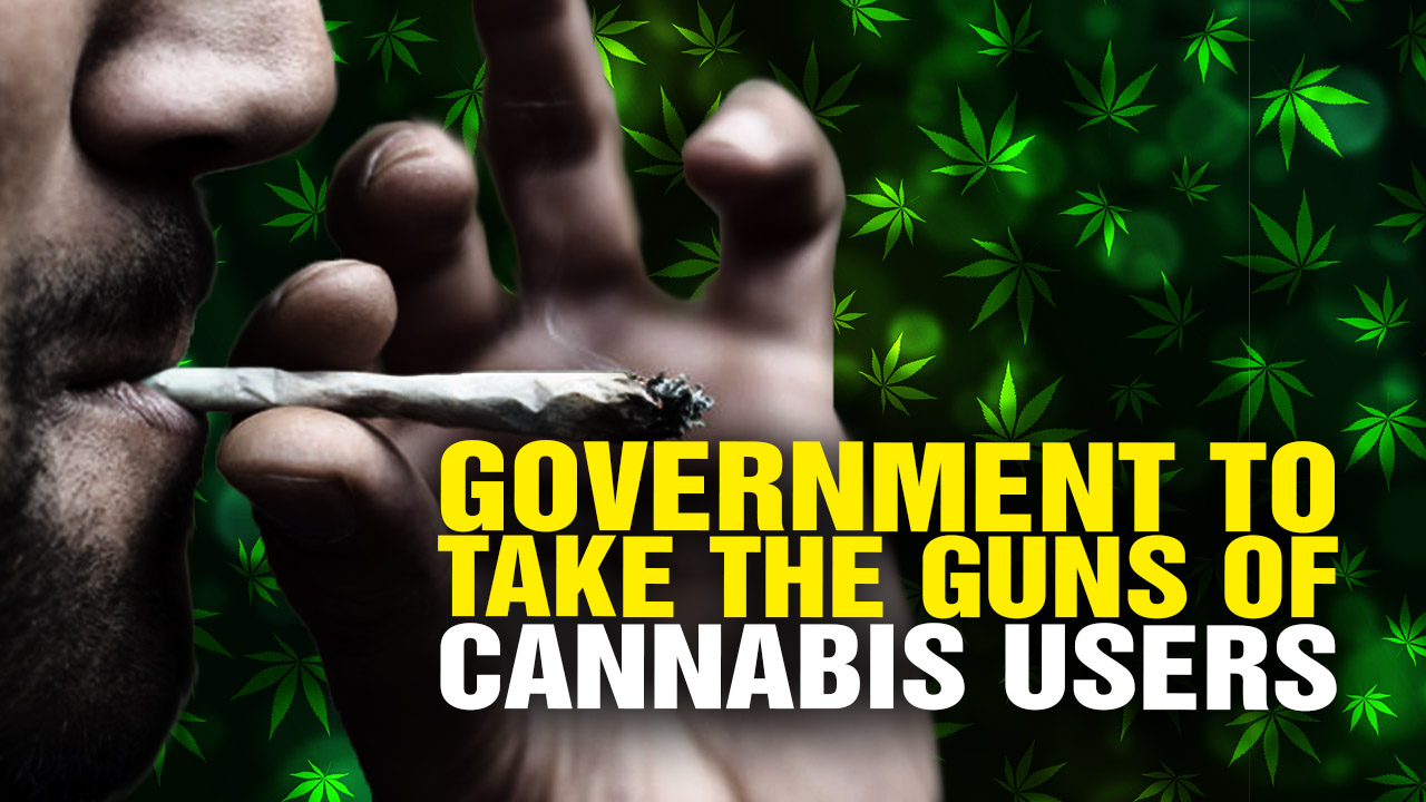 Image: Cannabis Users: Government Is Coming to TAKE YOUR GUNS (Video)