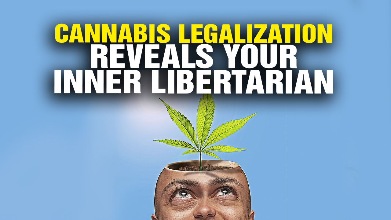 Image: Cannabis Legalization Reveals the INNER LIBERTARIAN In “Progressives” (Video)