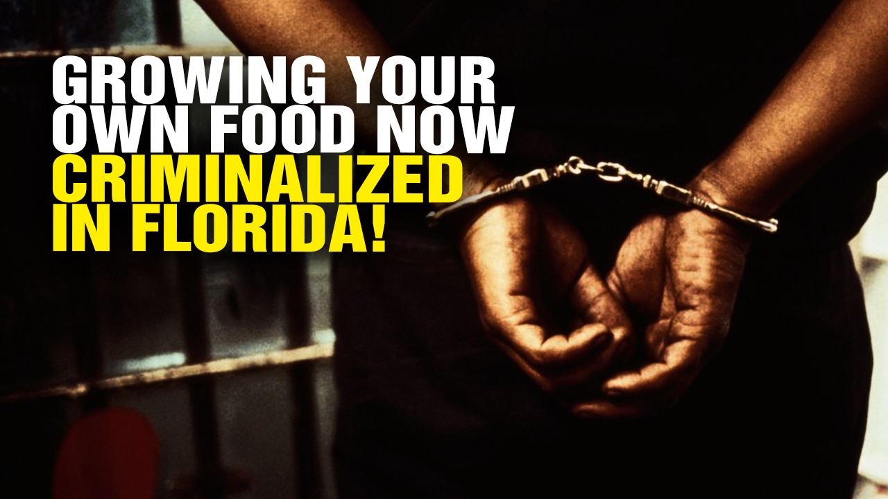 Image: Growing Your Own Food Now CRIMINALIZED in Florida! (Video)