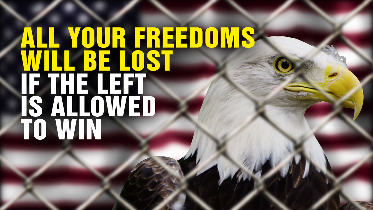 Image: ALL Your Freedoms Will Be Lost if the Left Is Allowed to Win (Video)