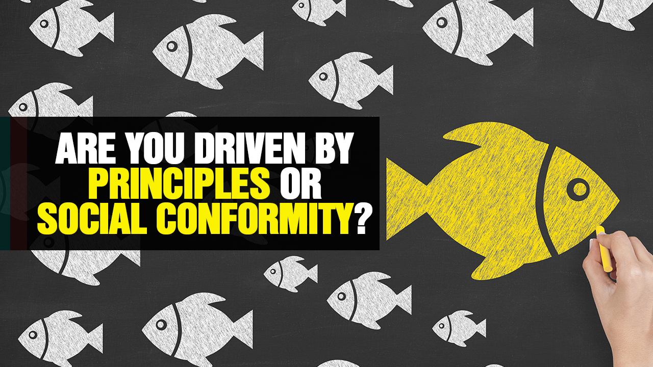 Image: Are You Driven by PRINCIPLES or SOCIAL CONFORMITY? (Video)