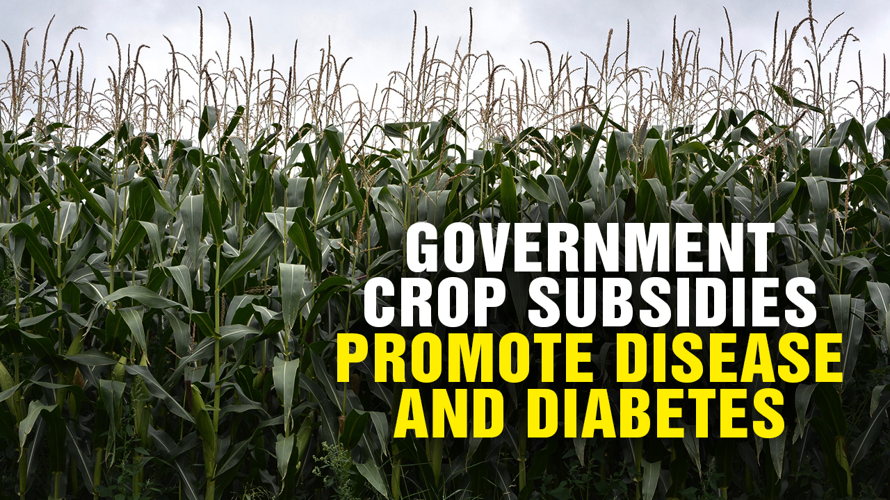 Image: Government Crop SUBSIDIES Promote DISEASE and Diabetes (Podcast)