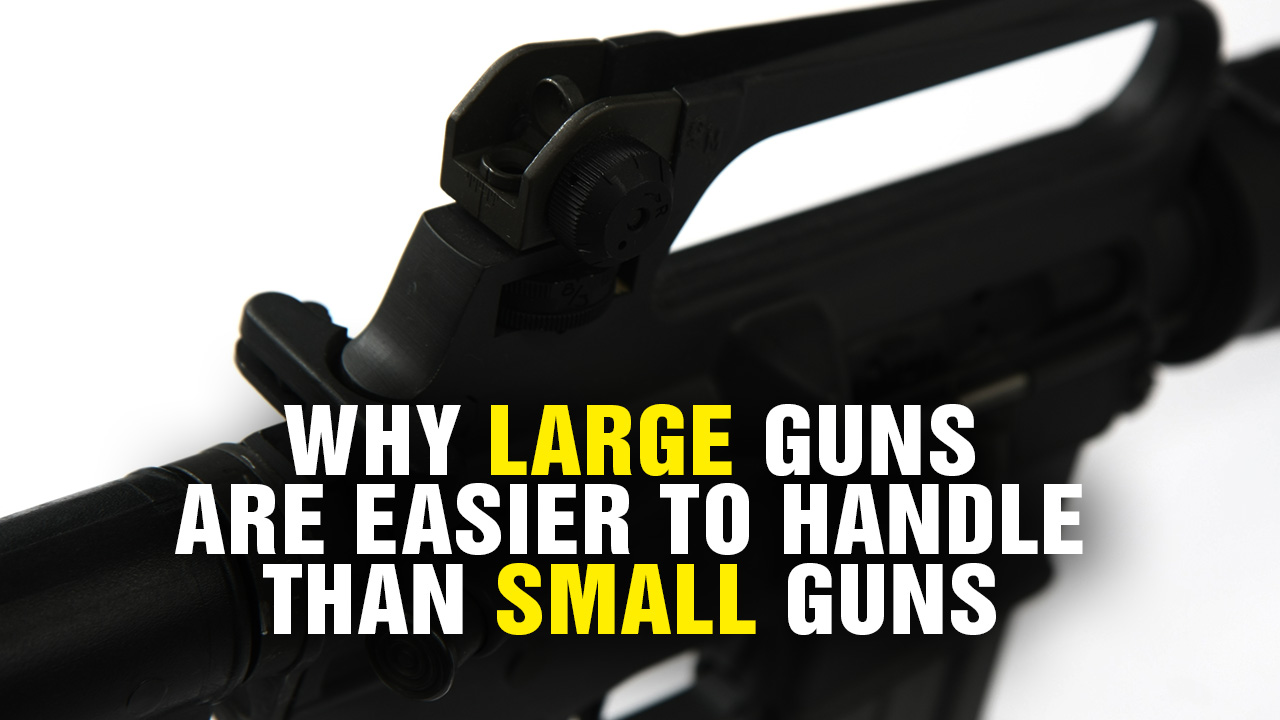 Image: Why LARGE Guns Are Easier to Handle Than SMALL Guns (Video)