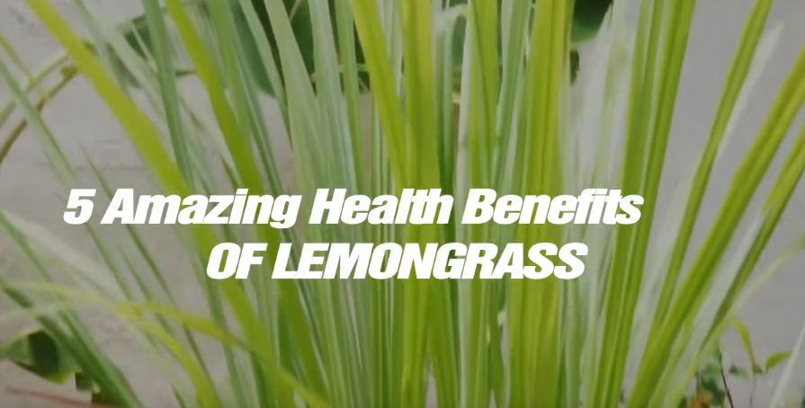 Image: 5 Amazing Health Benefits of Lemongrass (Video)