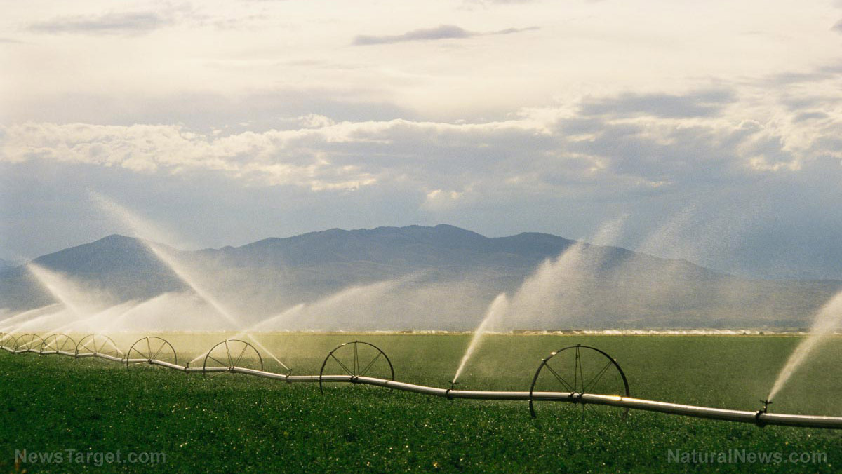 Image: Water WARS erupting across our world as fresh water supplies collide with surging food demand